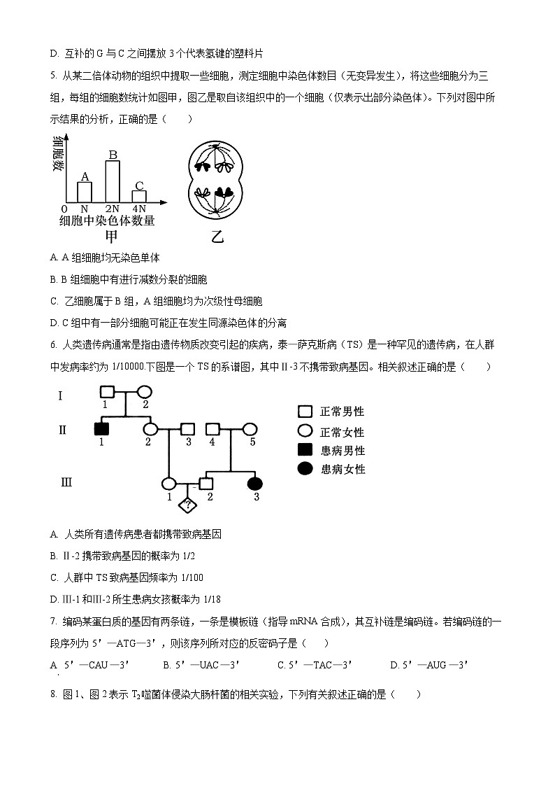 辽宁省抚顺市六校协作体2023-2024学年高一下学期期末考试生物试题（Word版附解析）第2页