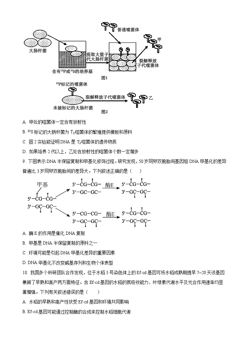 辽宁省抚顺市六校协作体2023-2024学年高一下学期期末考试生物试题（Word版附解析）第3页