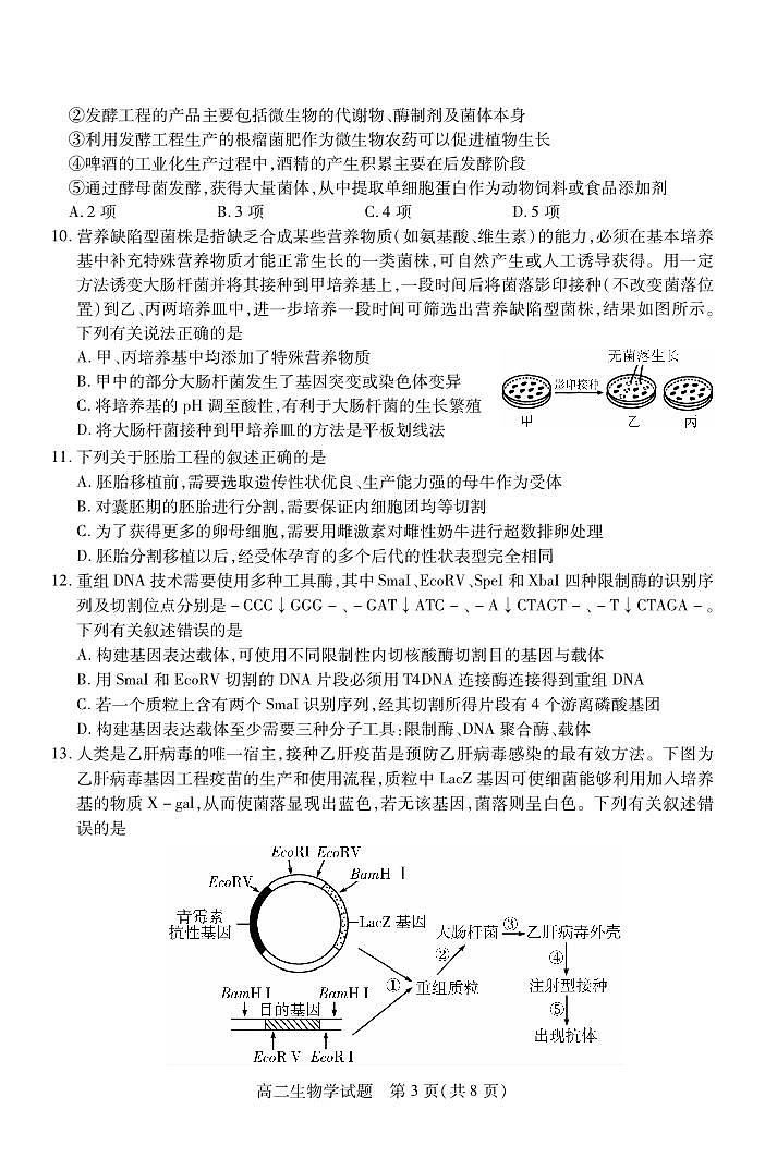2024运城高二下学期期末考试生物PDF版含答案03
