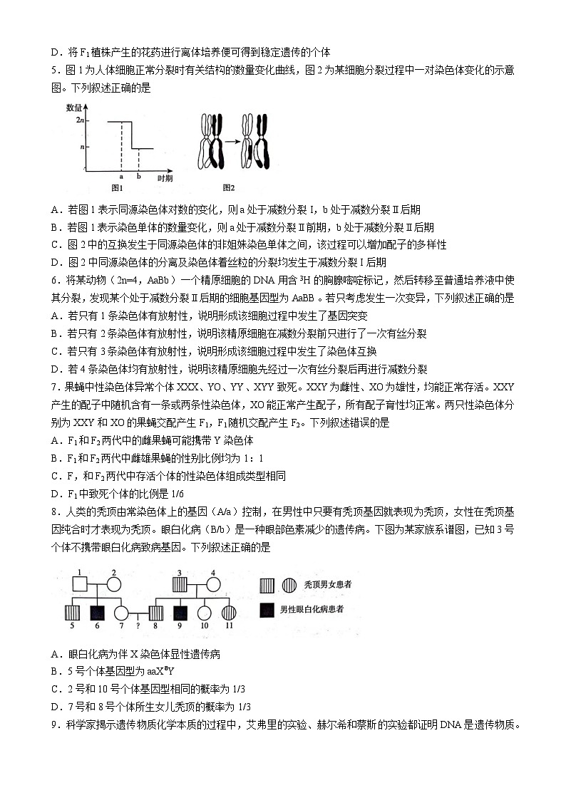 2024临沂高一下学期7月期末考试生物含答案02