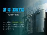 人教版2019高中生物选择性必修3课件1-1传统发酵技术的应用(有限无水印版)