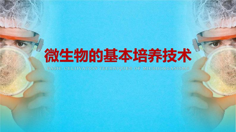 人教版2019高中生物选择性必修3课件1-2微生物的培养技术及应用第1课时(有限无水印版)05