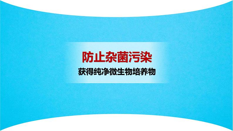 人教版2019高中生物选择性必修3课件1-2微生物的培养技术及应用第1课时(有限无水印版)06