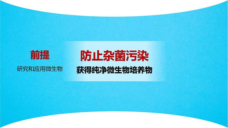 人教版2019高中生物选择性必修3课件1-2微生物的培养技术及应用第1课时(有限无水印版)07