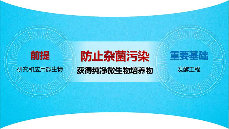 人教版2019高中生物选择性必修3课件1-2微生物的培养技术及应用第1课时(有限无水印版)08