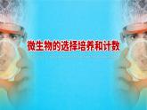 人教版2019高中生物選擇性必修3課件1-2微生物的培養(yǎng)技術及應用第2課時(有限無水印版)