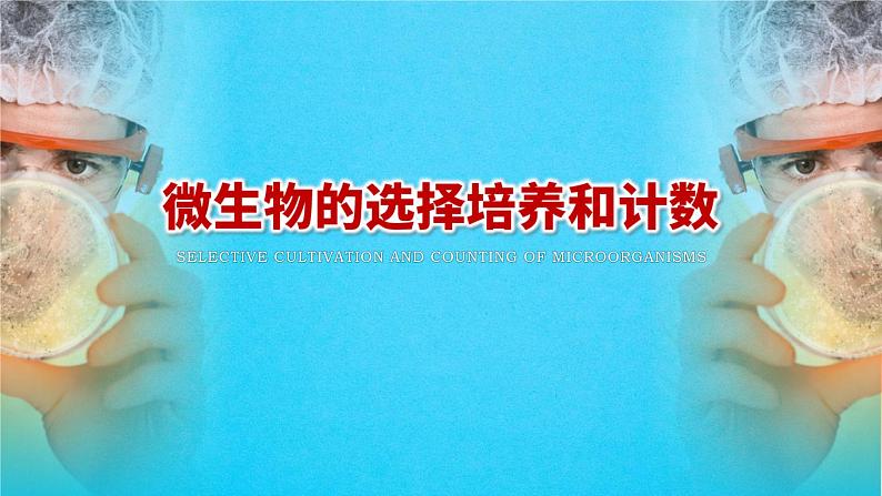 人教版2019高中生物选择性必修3课件1-2微生物的培养技术及应用第2课时(有限无水印版)03