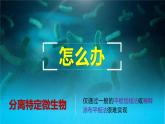 人教版2019高中生物選擇性必修3課件1-2微生物的培養(yǎng)技術及應用第2課時(有限無水印版)