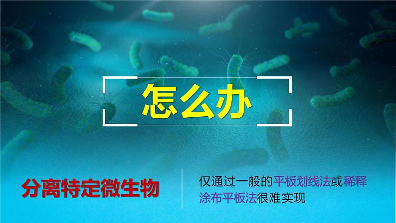 人教版2019高中生物选择性必修3课件1-2微生物的培养技术及应用第2课时(有限无水印版)04