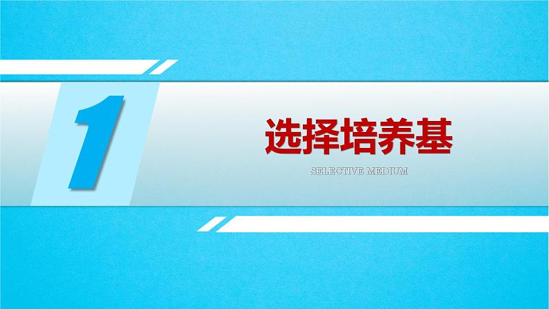 人教版2019高中生物选择性必修3课件1-2微生物的培养技术及应用第2课时(有限无水印版)05