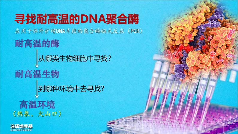 人教版2019高中生物选择性必修3课件1-2微生物的培养技术及应用第2课时(有限无水印版)06