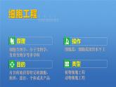 人教版2019高中生物选择性必修3课件2-1植物细胞工程第1课时(有限无水印版)