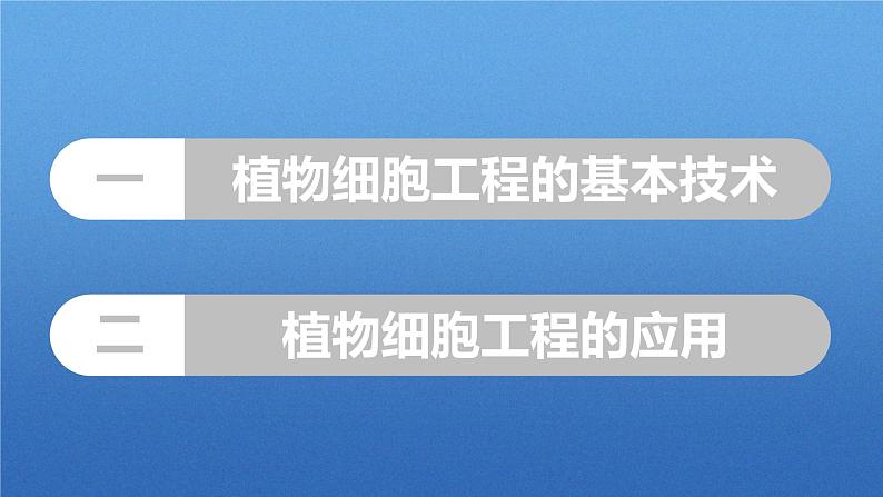 人教版2019高中生物选择性必修3课件2-1植物细胞工程第2课时(有限无水印版)第3页