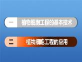 人教版2019高中生物选择性必修3课件2-1植物细胞工程第2课时(有限无水印版)