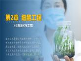 人教版2019高中生物选择性必修3课件2-2动物细胞工程第1课时(有限无水印版)