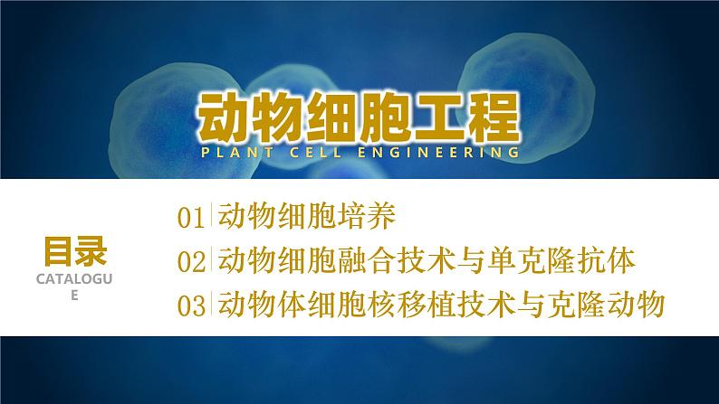 人教版2019高中生物选择性必修3课件2-2动物细胞工程第1课时(有限无水印版)03