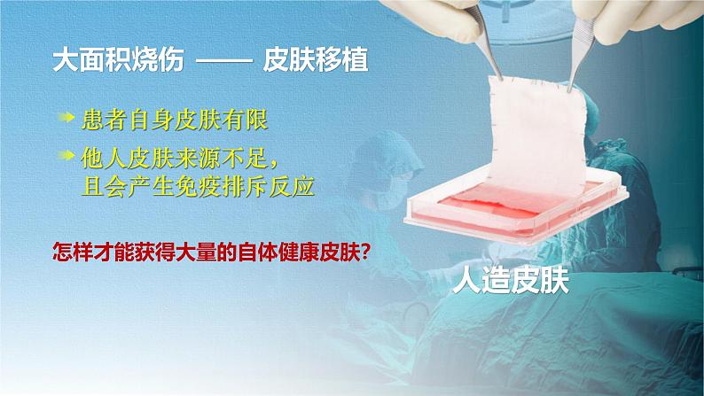 人教版2019高中生物选择性必修3课件2-2动物细胞工程第1课时(有限无水印版)06