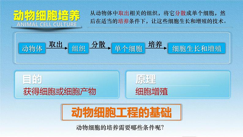 人教版2019高中生物选择性必修3课件2-2动物细胞工程第1课时(有限无水印版)08