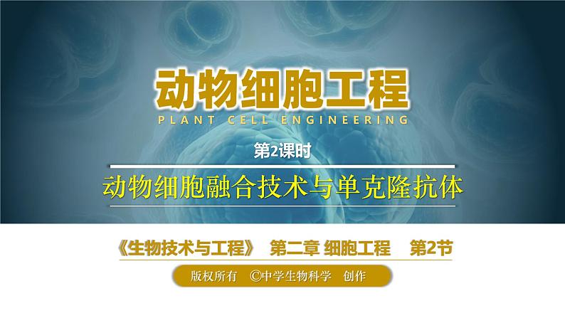 人教版2019高中生物选择性必修3课件2-2动物细胞工程第2课时(有限无水印版)04