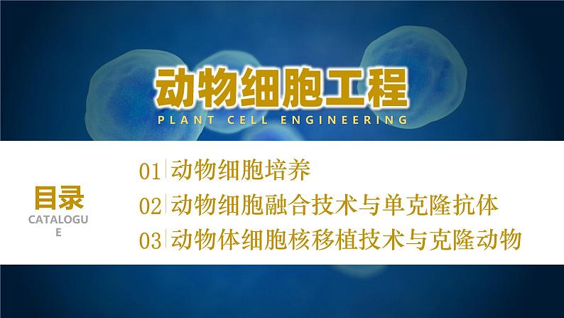 人教版2019高中生物选择性必修3课件2-2动物细胞工程第3课时(有限无水印版)第3页