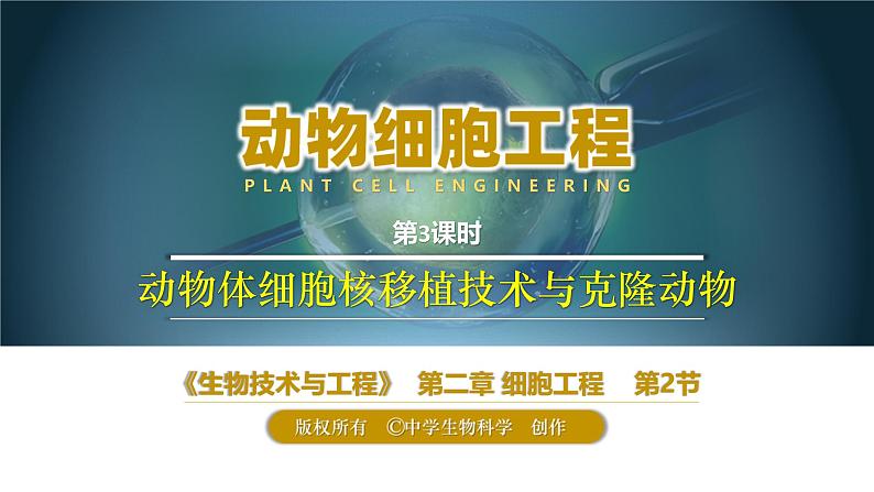 人教版2019高中生物选择性必修3课件2-2动物细胞工程第3课时(有限无水印版)第4页