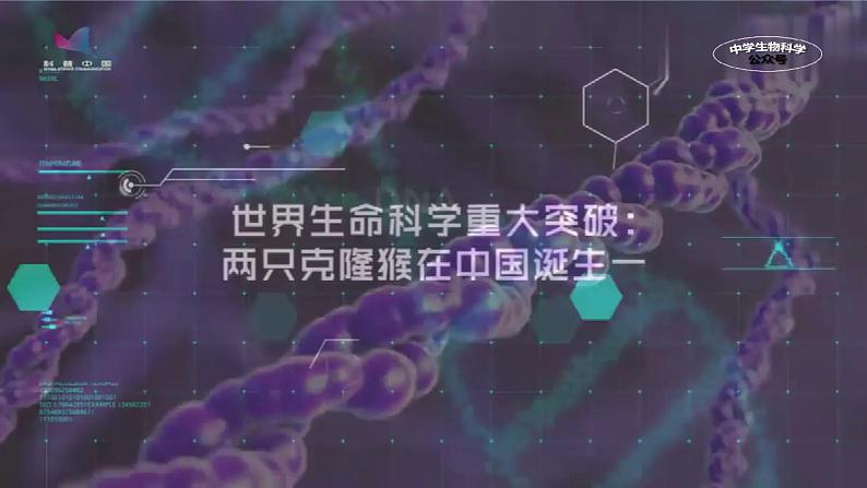 人教版2019高中生物选择性必修3课件2-2动物细胞工程第3课时(有限无水印版)第7页