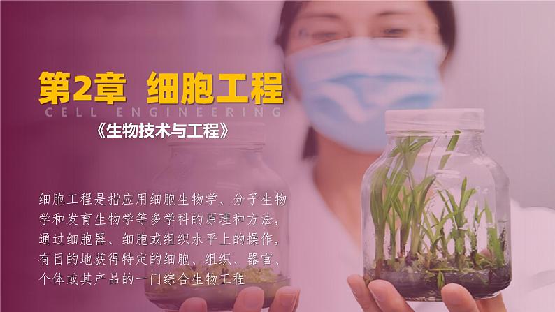 人教版2019高中生物选择性必修3课件2-3胚胎工程第1课时(有限无水印版)01