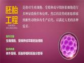 人教版2019高中生物选择性必修3课件2-3胚胎工程第1课时(有限无水印版)