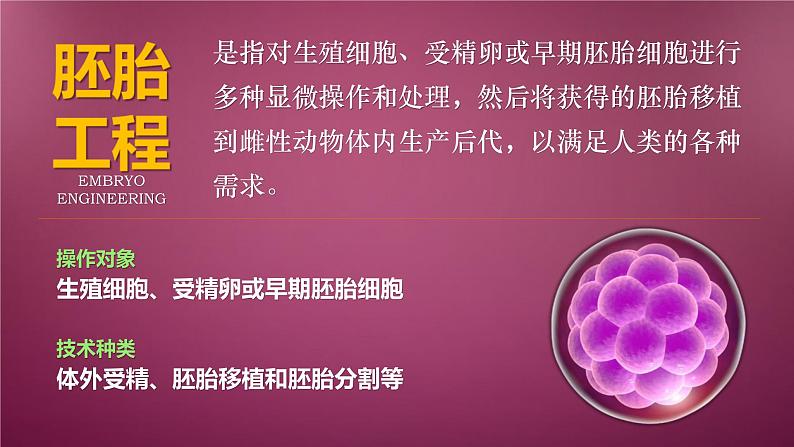 人教版2019高中生物选择性必修3课件2-3胚胎工程第1课时(有限无水印版)04