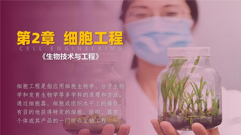 人教版2019高中生物选择性必修3课件2-3胚胎工程第2课时(有限无水印版)01