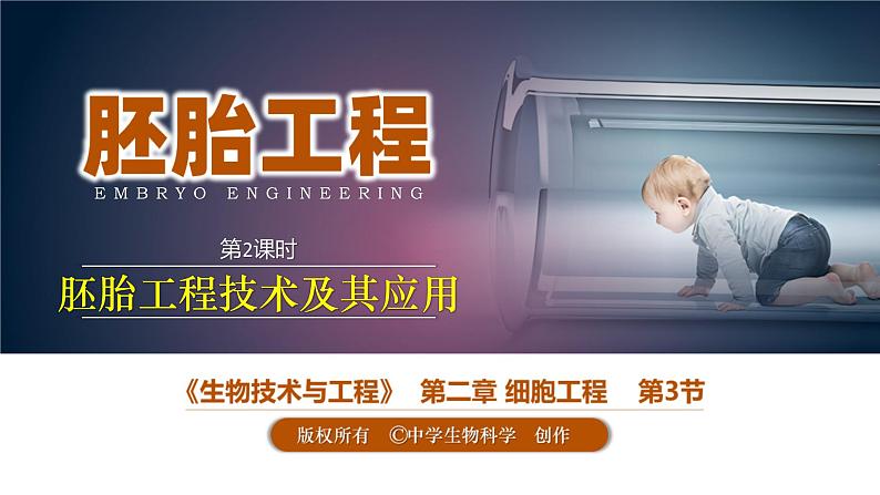 人教版2019高中生物选择性必修3课件2-3胚胎工程第2课时(有限无水印版)02