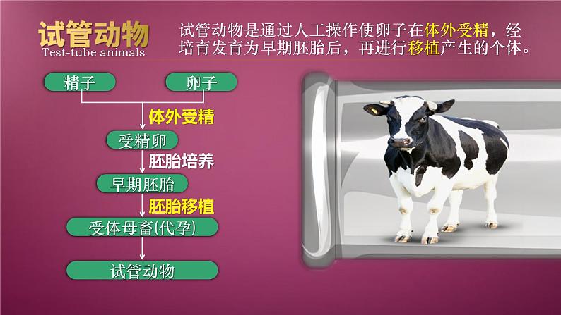 人教版2019高中生物选择性必修3课件2-3胚胎工程第2课时(有限无水印版)05