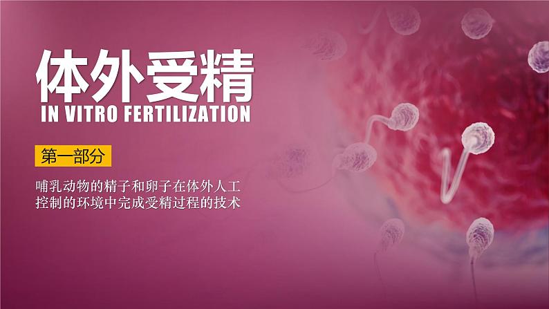 人教版2019高中生物选择性必修3课件2-3胚胎工程第2课时(有限无水印版)06