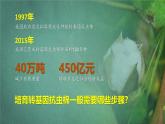 人教版2019高中生物选择性必修3课件3-2基因工程的基本操作程序第1课时(有限无水印版)