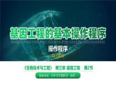 人教版2019高中生物选择性必修3课件3-2基因工程的基本操作程序第1课时(有限无水印版)