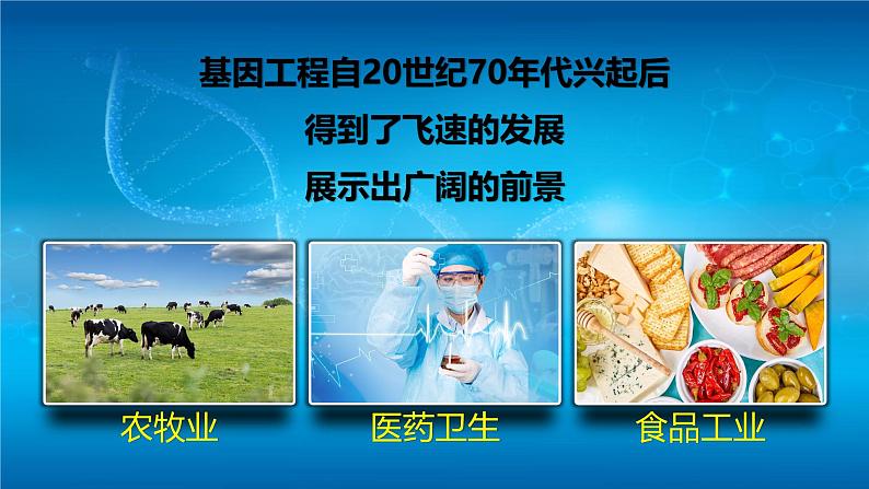 人教版2019高中生物选择性必修3课件3-3基因工程的应用(有限无水印版)04