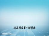 人教版2019高中生物选择性必修3课件4-1转基因产品的安全性(有限无水印版)