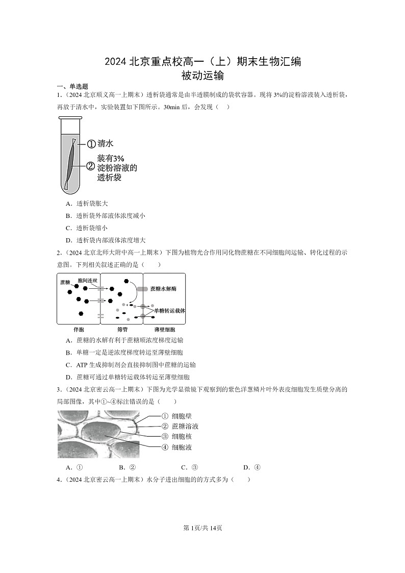 [生物]2024北京重点校高一上学期期末生物真题分类汇编：被动运输01