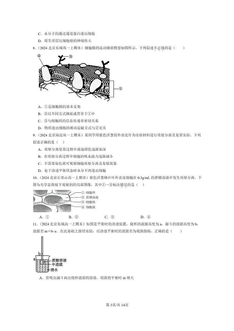 [生物]2024北京重点校高一上学期期末生物真题分类汇编：被动运输03