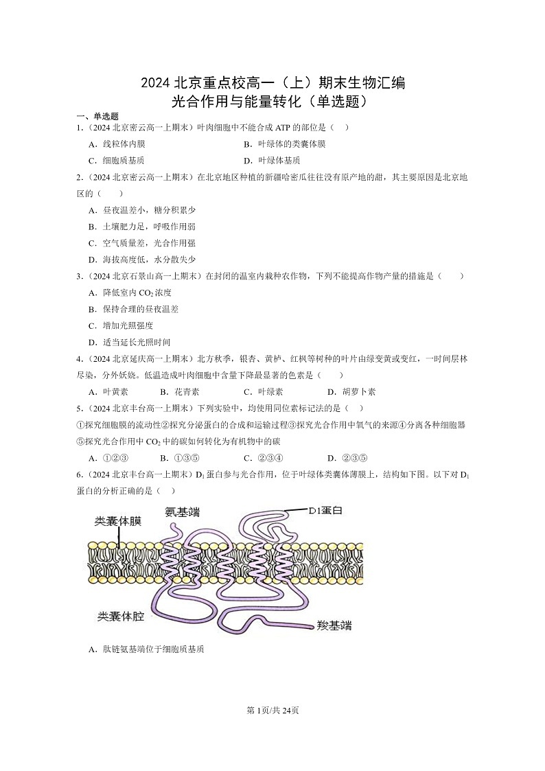 [生物]2024北京重点校高一上学期期末生物真题分类汇编：光合作用与能量转化(单选题)01