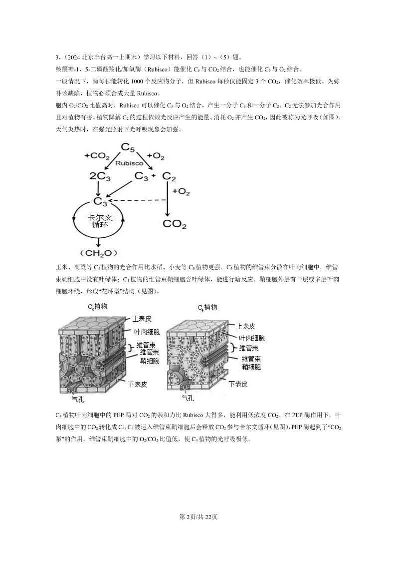 [生物]2024北京重点校高一上学期期末生物真题分类汇编：光合作用与能量转化(非选择题)02