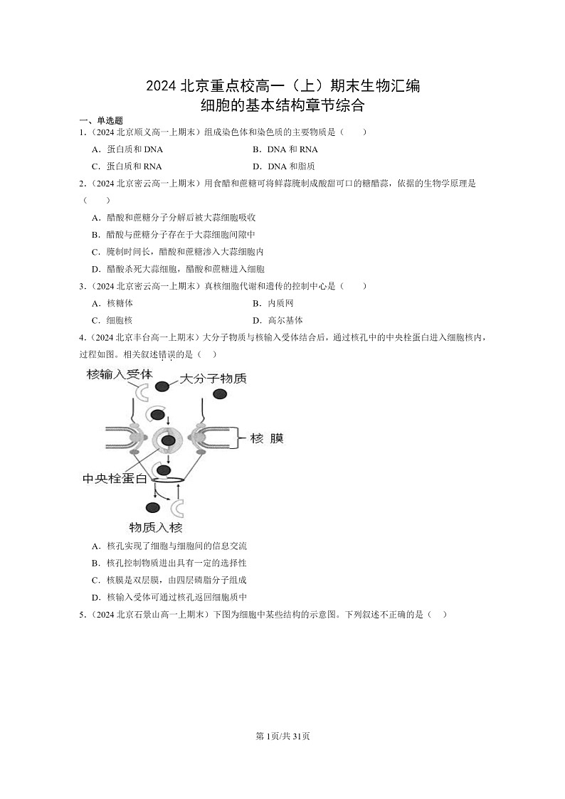 [生物]2024北京重点校高一上学期期末生物真题分类汇编：细胞的基本结构章节综合第1页