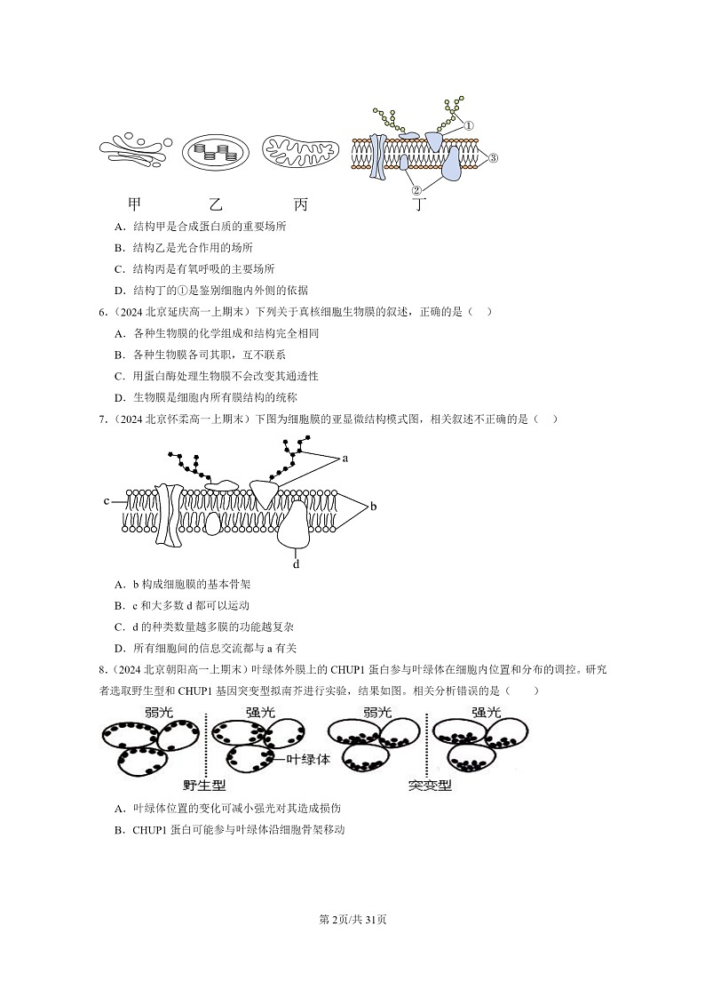 [生物]2024北京重点校高一上学期期末生物真题分类汇编：细胞的基本结构章节综合第2页