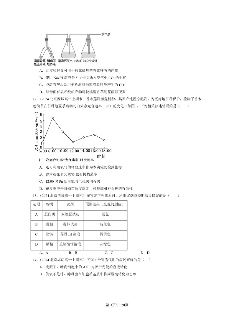 [生物]2024北京重点校高一上学期期末生物真题分类汇编：细胞的能量供应和利用章节综合(单选题)203