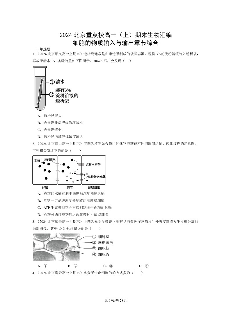[生物]2024北京重点校高一上学期期末生物真题分类汇编：细胞的物质输入与输出章节综合第1页