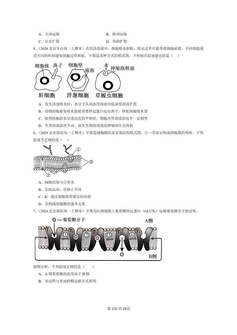 [生物]2024北京重点校高一上学期期末生物真题分类汇编：细胞的物质输入与输出章节综合第2页