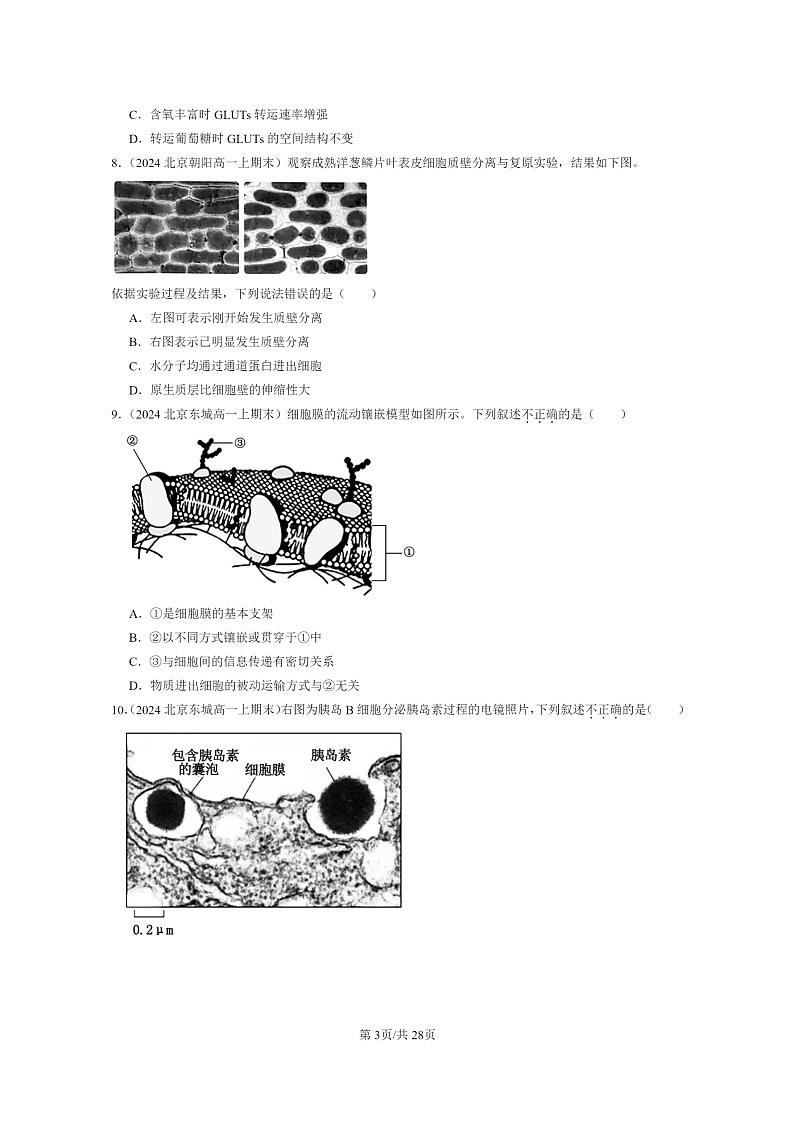 [生物]2024北京重点校高一上学期期末生物真题分类汇编：细胞的物质输入与输出章节综合第3页