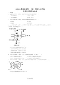 [生物]2024北京重点校高一上学期期末生物真题分类汇编：细胞核的结构和功能