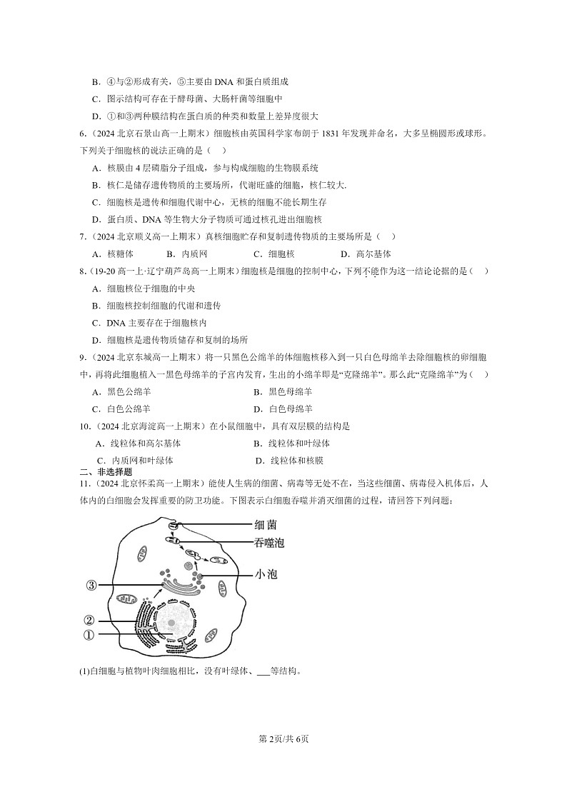 [生物]2024北京重点校高一上学期期末生物真题分类汇编：细胞核的结构和功能02