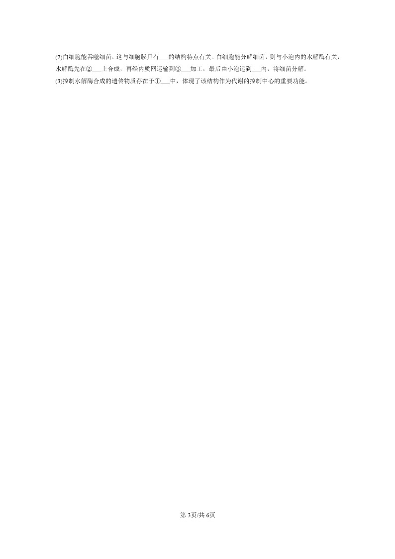 [生物]2024北京重点校高一上学期期末生物真题分类汇编：细胞核的结构和功能03